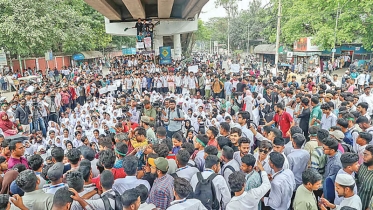 পলিটেকনিক শিক্ষার্থীদের আন্দোলন অব্যাহত, দেশজুড়ে বিক্ষোভ মিছিল