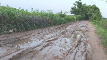 মাদারীপুরে সাত গ্রামের মানুষের যোগাযোগের পথ যেন মরণফাঁদ