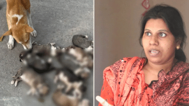 আট কুকুরছানা হত্যার ঘটনায় নিশি রহমান কারাগারে