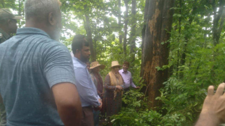 বনবিভাগের কর্ণফুলী রেঞ্জের শতবর্ষী বাগান দেখে মুগ্ধ বন সচিব