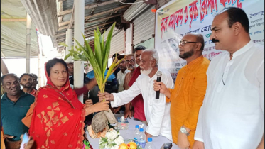 শৈলকুপায় কৃষক সমাবেশে কর্মীদের মধ্যে গাছের চারা বিতরণ