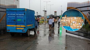 বেনাপোল বন্দর দিয়ে কলকাতায় গেল ৪০০ কেজি আম 