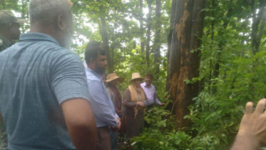 বনবিভাগের কর্ণফুলী রেঞ্জের শতবর্ষী বাগান দেখে মুগ্ধ বন সচিব