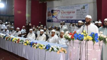 সরকার ইসলাম বিরোধী পদক্ষেপ নিলে প্রতিরোধ করা হবে: মামুনুল হক