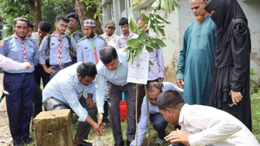 জুলাই আন্দোলনে শহীদদের স্মরণে বৃক্ষরোপণ 