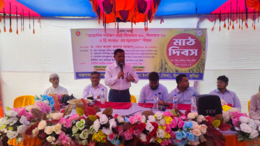 বরুড়ায় মাঠ দিবস; নতুন ধান জাত নিয়ে কৃষকদের আগ্রহ বেড়েছে