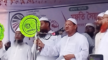 আ. লীগ শুধু ভারতের দালাল নয়, তারা যেন ভারতেরই সরকার ছিল- রেজাউল