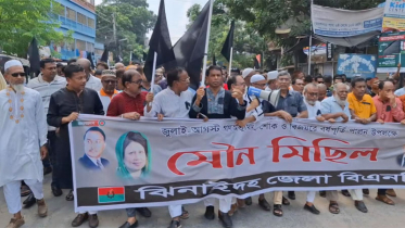 জুলাই শহীদদের স্মরণে ঝিনাইদহে বিএনপির মৌন মিছিল