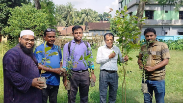 সবুজের আহ্বানে মোহনীয় মাগুরা: ‘সবুজ উৎসব ২০২৫’ উদ্‌যাপিত
