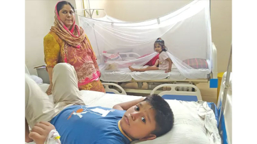 ডেঙ্গুতে ২৪ ঘণ্টায় আক্রান্ত ২০৪ জন, অর্ধেকই বরিশাল অঞ্চলে