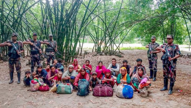 চাঁপাইনাবগঞ্জ সীমান্তে ২০ জনকে ঠেলে পাঠাল বিএসএফ 