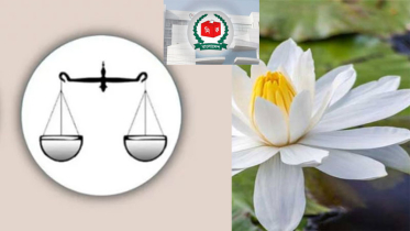 দাঁড়িপাল্লা ফিরছে, শাপলার কী হবে?
