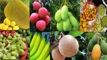 বাজারে বাহারি মৌসুমি ফল, দাম নিয়ে অসন্তোষ