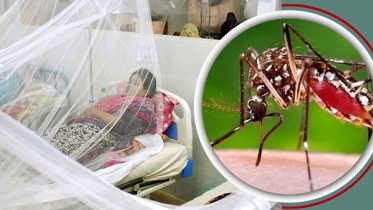 ডেঙ্গু পরিস্থিতি খারাপের দিকে যাচ্ছে