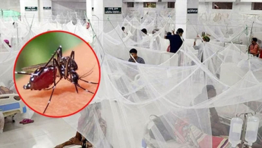 আশঙ্কাজনকভাবে বাড়ছে ডেঙ্গু, মৃত্যুর হার ভয় জাগাচ্ছে
