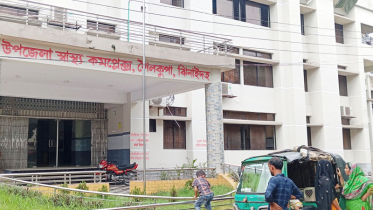 ঝিনাইদহে কুকুরের কামড়ে আহত ১৫, চরম আতঙ্কে এলাকাবাসী