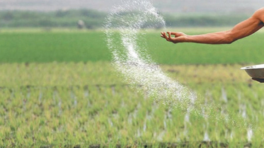 কানাডাসহ তিন দেশ থেকে আসছে সার