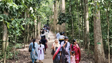 পর্যটনে ঈদের চমক: শ্রীমঙ্গলে ১০ কোটি টাকার বাণিজ্য