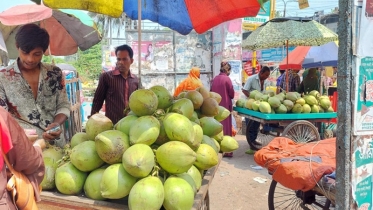 গরমে ডাবের দাম চরমে