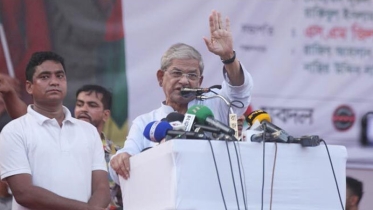 দেশের মানুষ আওয়ামী লীগকে দেখতে চায় না: মির্জা ফখরুল
