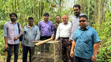 বান্দরবানে উদ্ধারকৃত দু’টি বানর অবমুক্ত