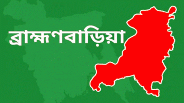 গরু আনতে গিয়ে দুই বোনের মর্মান্তিক মৃত্যু