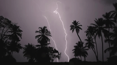 পৃথক বজ্রপাতের ঘটনায় পাঁচজন নিহত 