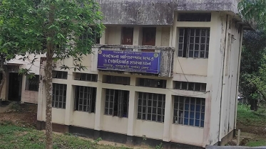 সরকারি ভ্যাকসিনে অর্ধশত গরু-ছাগলের মৃত্যু
