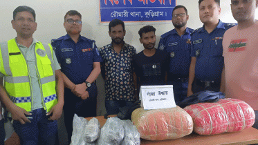 ১৩ কেজি গাঁজাসহ দুই কারবারি আটক 