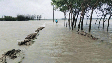 জোয়ারের পানিতে ৪০ গ্রাম প্লাবিত, মানুষের দুর্ভোগ 