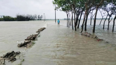 প্লাবিত উপকূলের নিম্নাঞ্চল, ভাঙছে বাঁধ