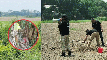 কলাবাগান থেকে ২২ হাতবোমা উদ্ধার, বিস্ফোরণ ঘটিয়ে নিষ্ক্রিয় 