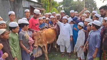 আ.লীগ নিষিদ্ধের খুশিতে গরু জবাই করে খাওয়ালেন ‘শিশু বক্তা’