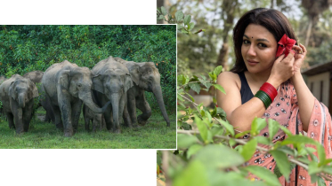 আহত বুবলী-সজলের টিম, প্রশ্ন তুললেন জয়া আহসান
