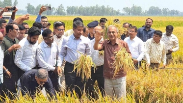 কৃষিজমি রক্ষায় নতুন আইন করা হবে