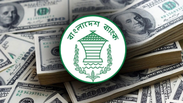 সরকারের আশা, এক বছরে রিজার্ভ ৩৪ বিলিয়ন ডলারে পৌঁছাবে