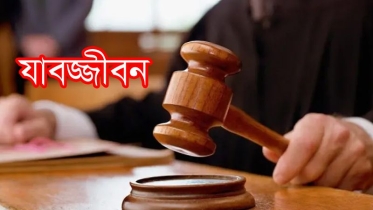 দুলাভাইকে হত্যার দায়ে শ্যালকের যাবজ্জীবন কারাদণ্ড