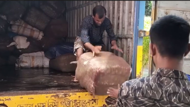 নেত্রকোণায় ১০ হাজার পিস ভারতীয় চোরাচালানির শাড়ি জব্দ