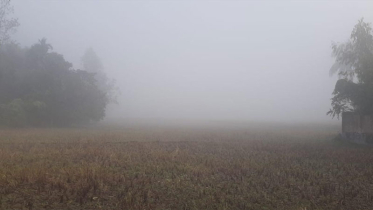 মৌলভীবাজারে দেশের সর্বনিম্ন তাপমাত্রা ১২.৫°