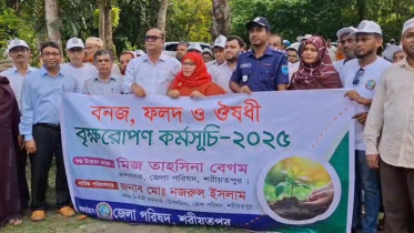 ৩ লাখ গাছের চারা রোপন করবে শরীয়তপুর জেলা পরিষদ