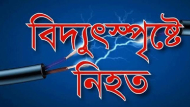 বিদ্যুতের ছেঁড়া তারে স্কুলছাত্রের মৃত্যু