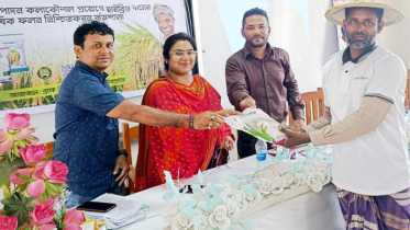 লোহাগড়ায় ধান বীজ বিতরণ ও অধিক ফলন নিশ্চিতকরণে কর্মশালা