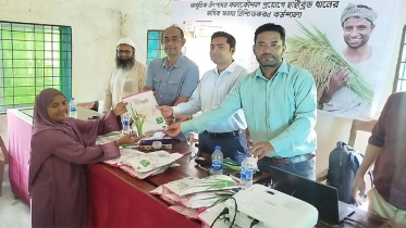 নড়াইলে কৃষকদের প্রশিক্ষণ ও বীজ বিতরণ কর্মসূচি