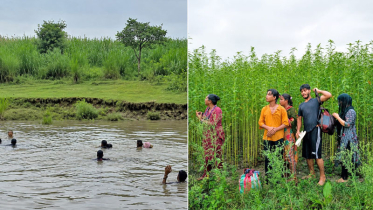 কুষ্টিয়া সীমান্তে পুশইনের চেষ্টা, রুখে দিলো বিজিবি