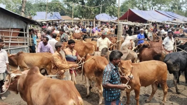 রশিদে গড়মিল ও অতিরিক্ত ফি আদায় নিয়ে ডোমারে উত্তেজনা