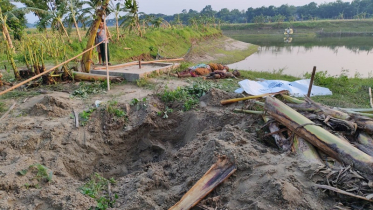 ফরিদপুরে কুকুরে খোঁড়া গর্ত থেকে মা ও মেয়ের অর্ধগলিত মরদেহ উদ্ধার