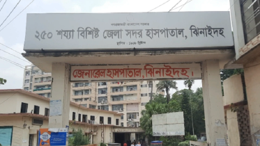 ঝিনাইদহে স্বামীর অস্ত্রের আঘাতে স্ত্রীর মৃত্যু
