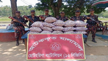 রাঙামাটি সীমান্তে বিজিবির অভিযানে রসুনভর্তি নৌকা আটক
