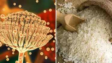 ভারত থেকে আমদানি করা চালে ক্যানসারের বিষাক্ত উপাদান, বিতরণ বন্ধ