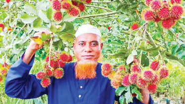 রিকশাচালক থেকে কোটিপতি, নার্সারিতে বদলে গেল জীবন